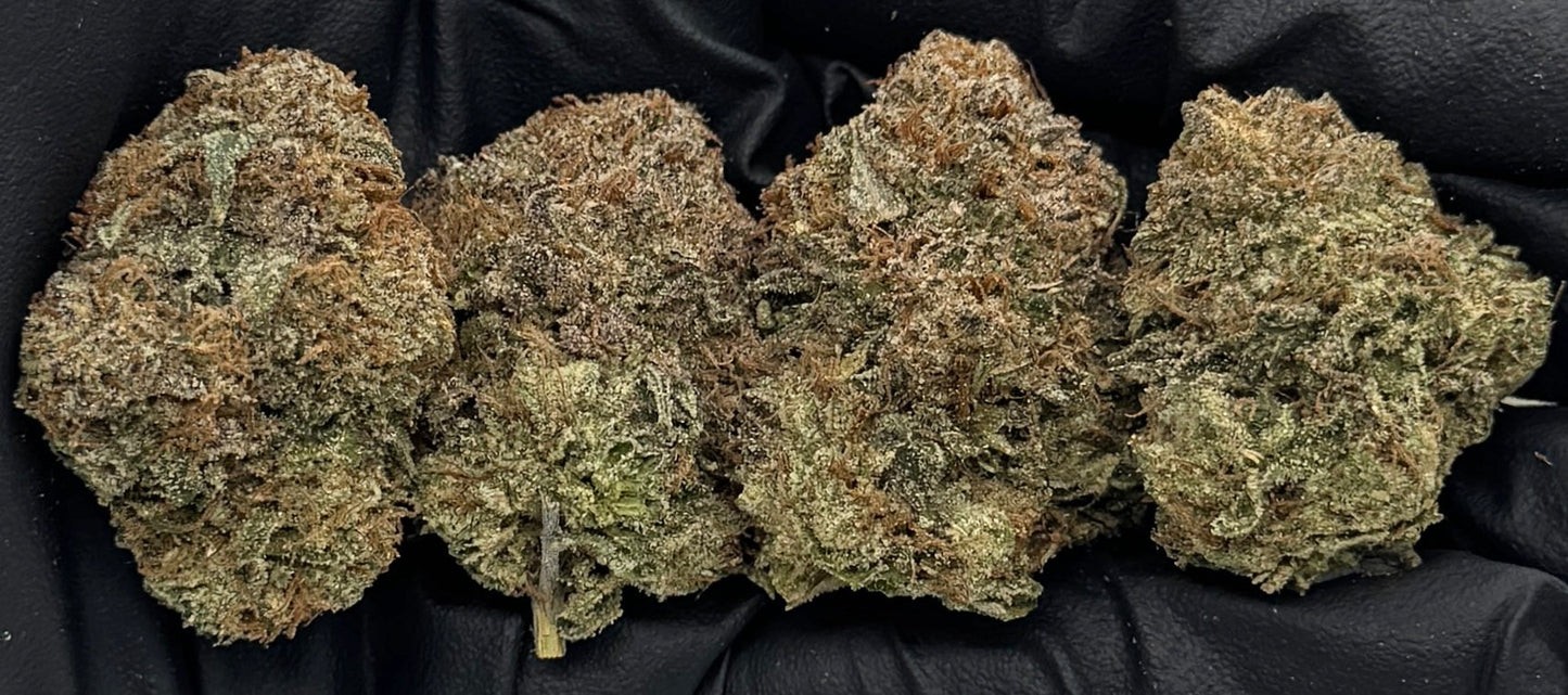 Candy Starburst #CCSTAR-11