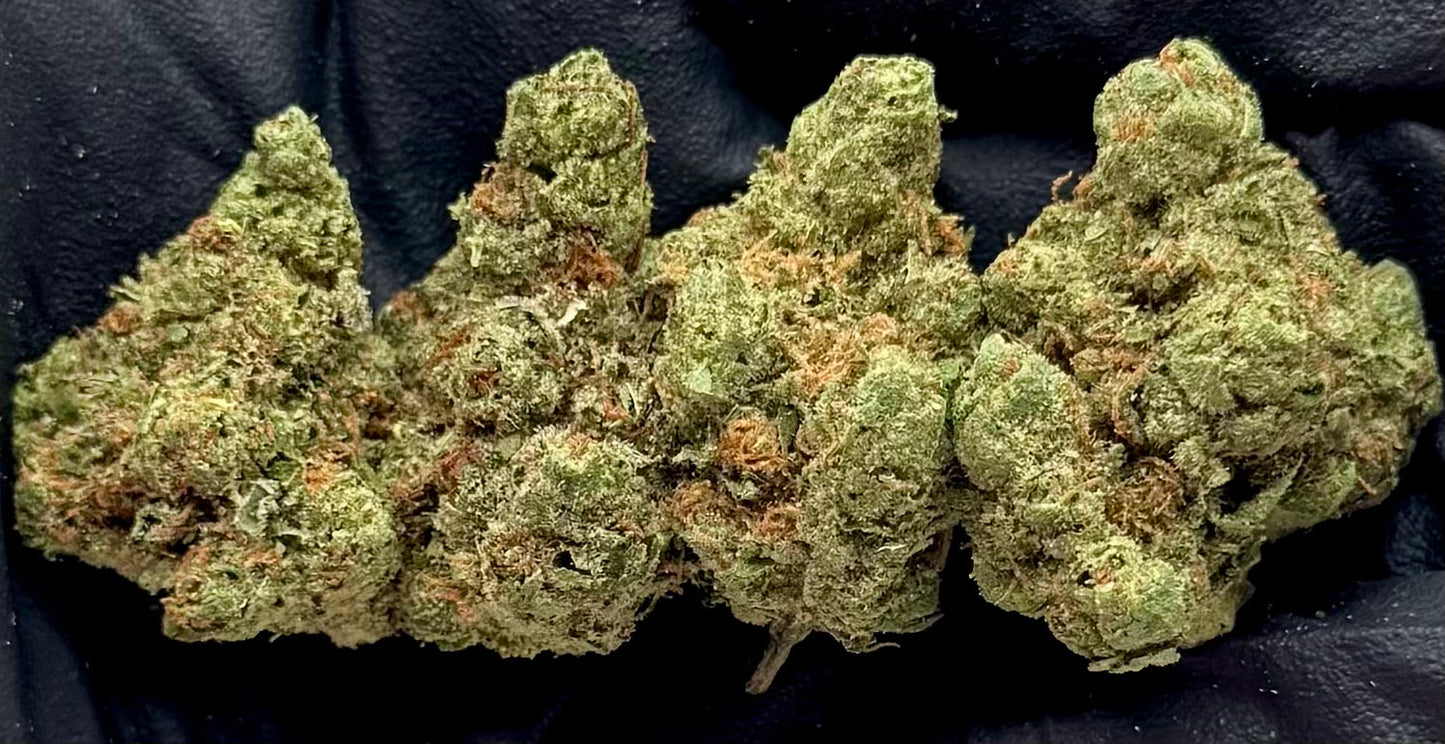 White Rhino #DDRINO-10