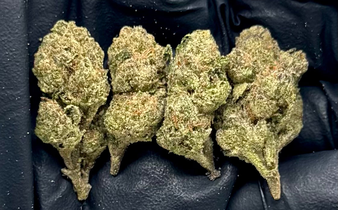 White Nerdz #DDWN-25