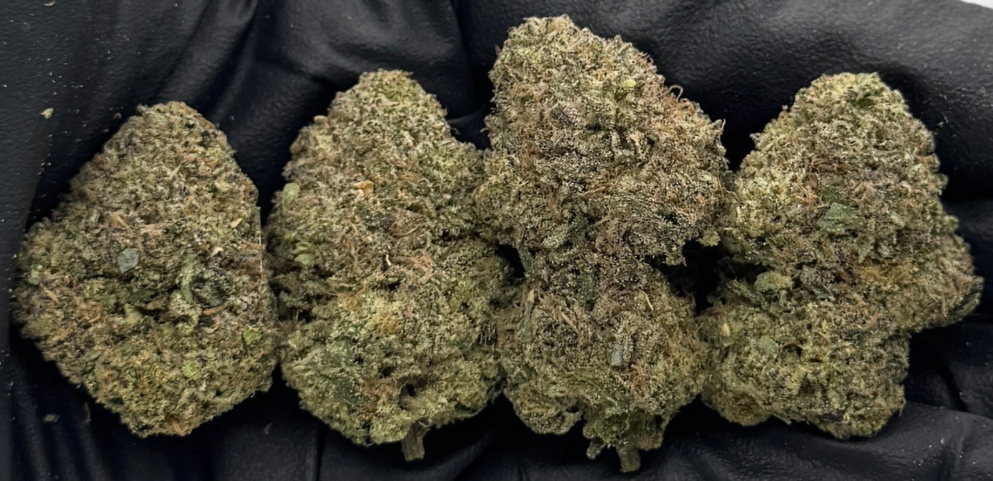 Blue Gummiez #FDGUM-11