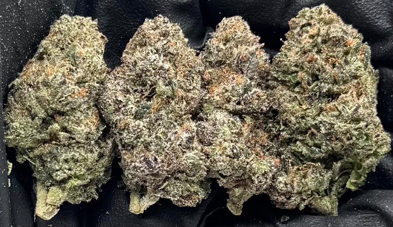 Pink Warheadz Runtz #FDPW-15