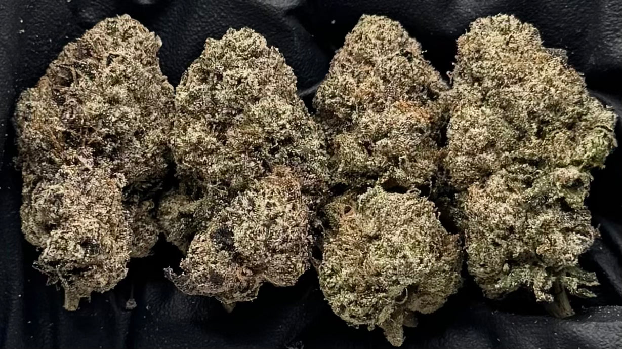 Lemon Cherry Gumboz #WSLGZ-11