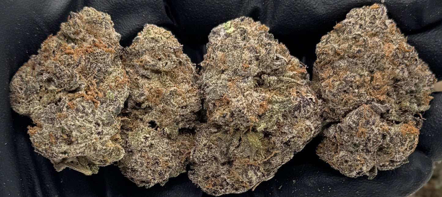 Astro Candy #CCARO-09