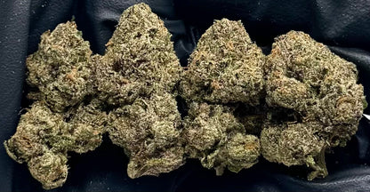 Pink Starbursts #FDPS-05