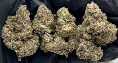 Grapes N Cherries #FDAPE-09