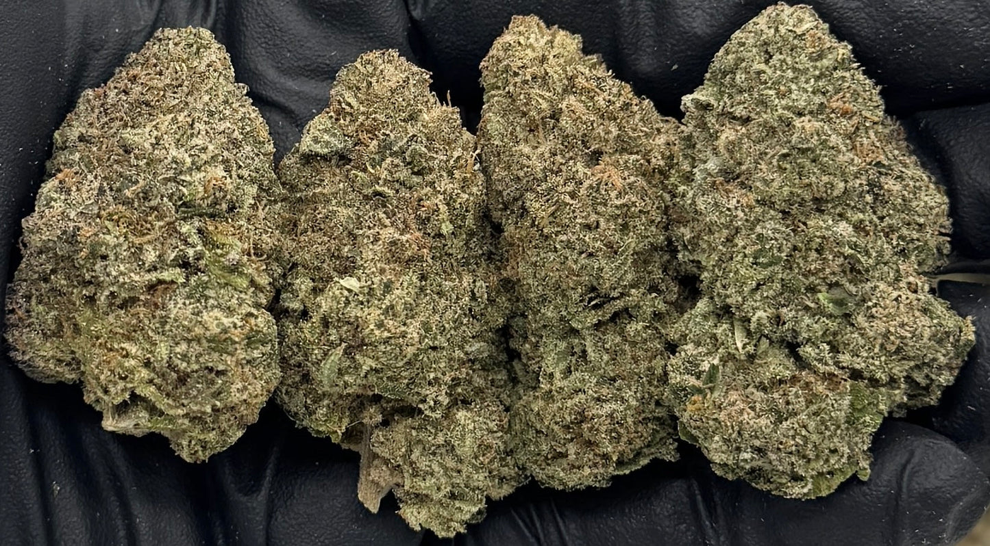 Candy Bonez #FDBONE-10