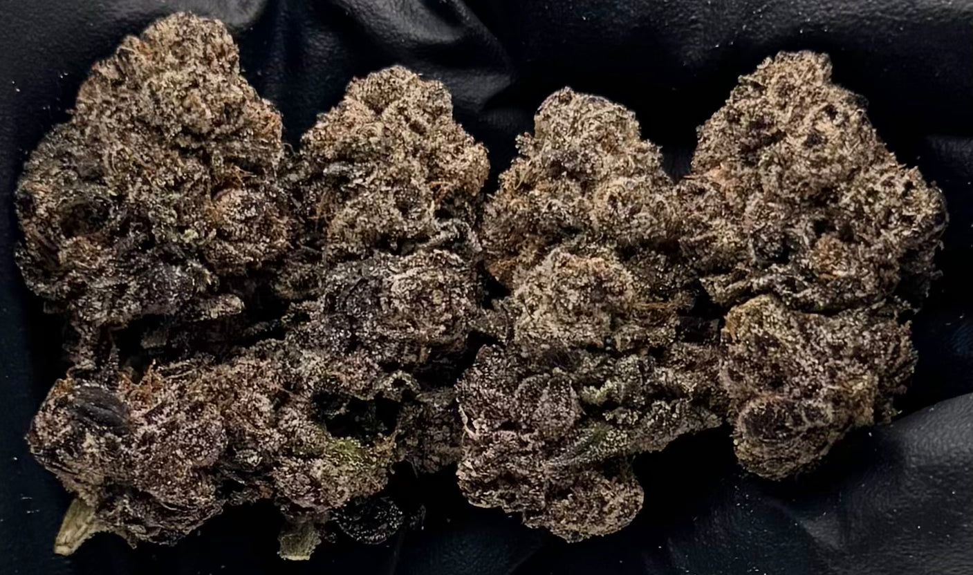 Black Cherry Mochi #GSBMC-15