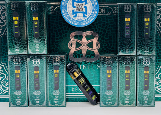 HITZ Infinity 2Gram Disposable