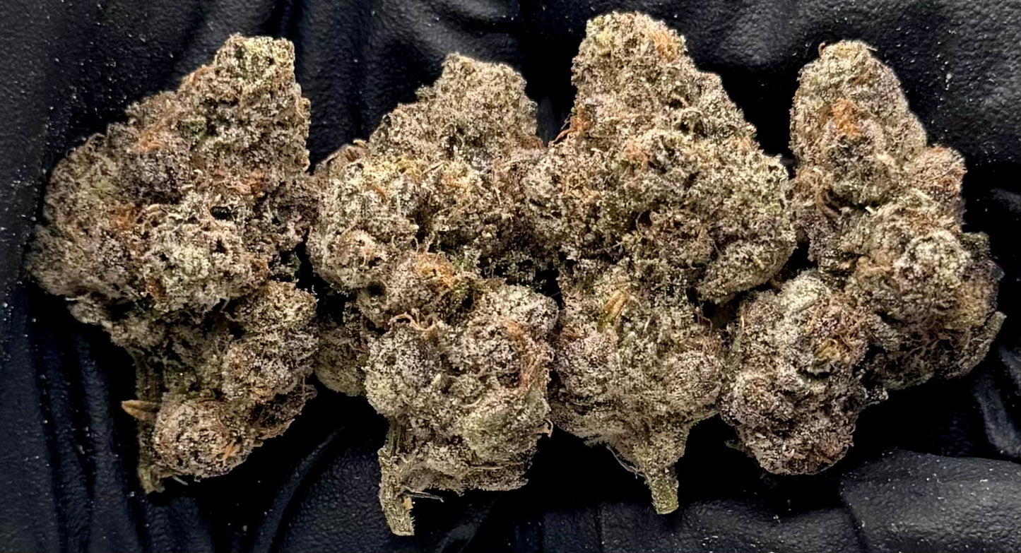 Cherry Jolly Rancherz #LKCJR-09