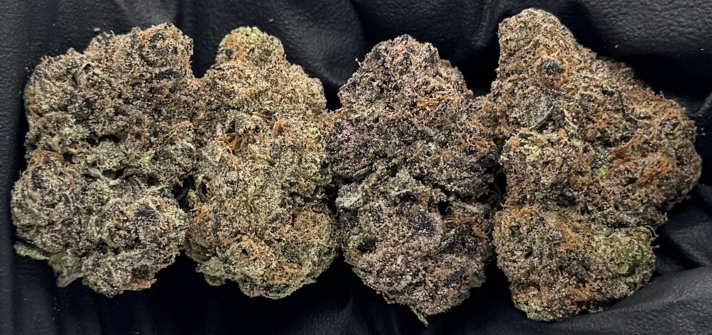 Blue Razz Gelato #NSBZZ-20