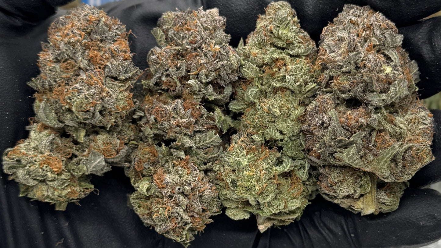 Purple Bubba Runtz #RXBBZ-15