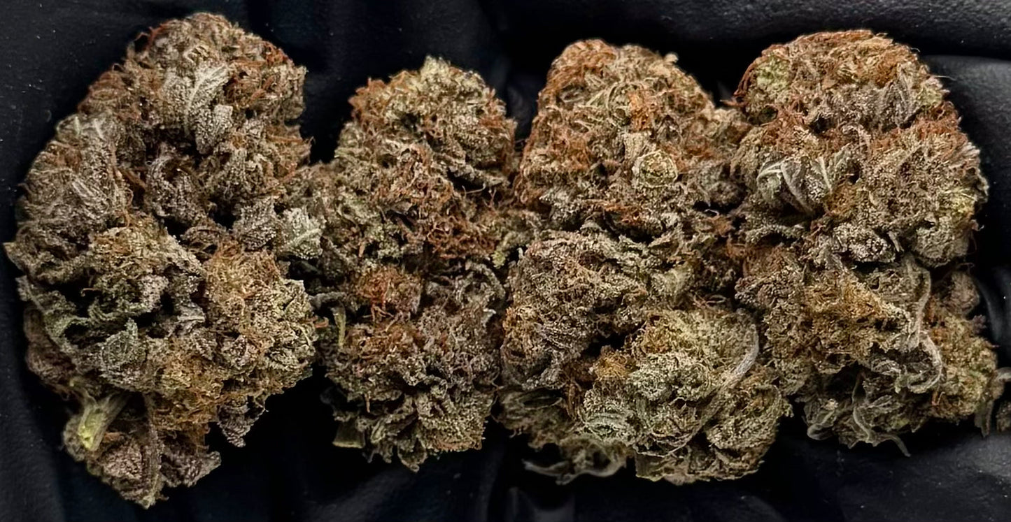 Purple Bubbaz #RXPBA-15