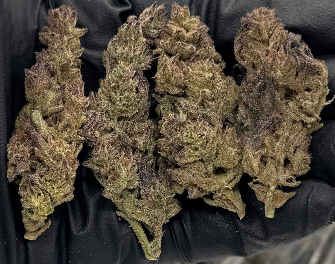 Cookies N Cream #SNCOK-07