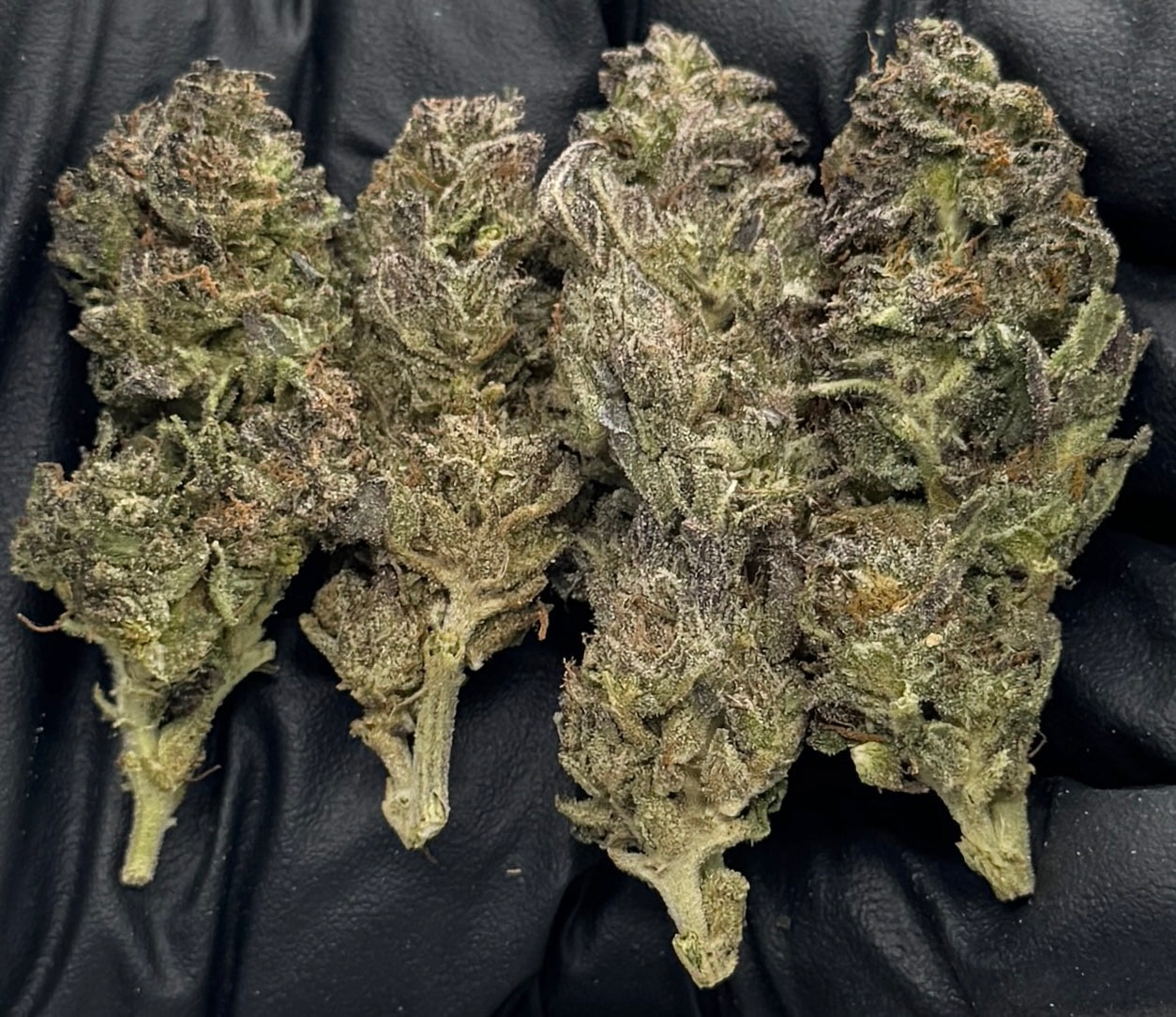 Cherry Gas #SNCAS-10