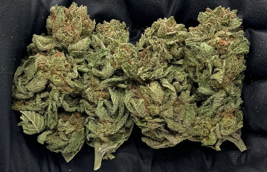 Platinum Bubba #SNPBUB-15