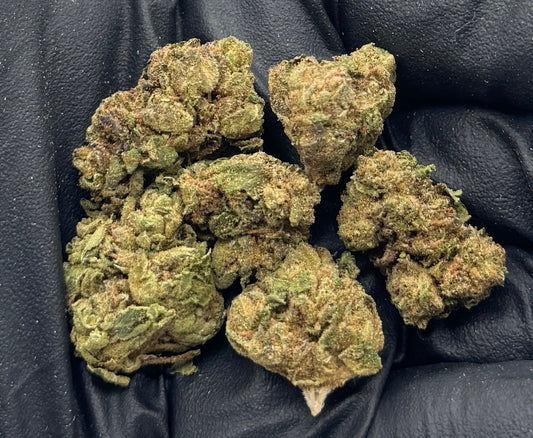 Lemon Gas Smalls #SXLASS-20