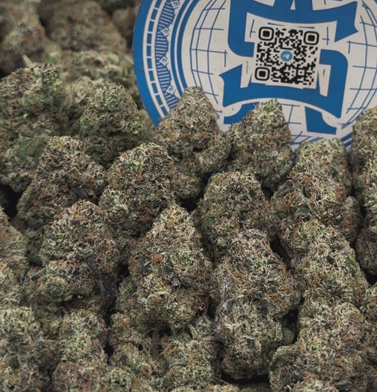 Blue Cherry Gumboz #LKBCG-12
